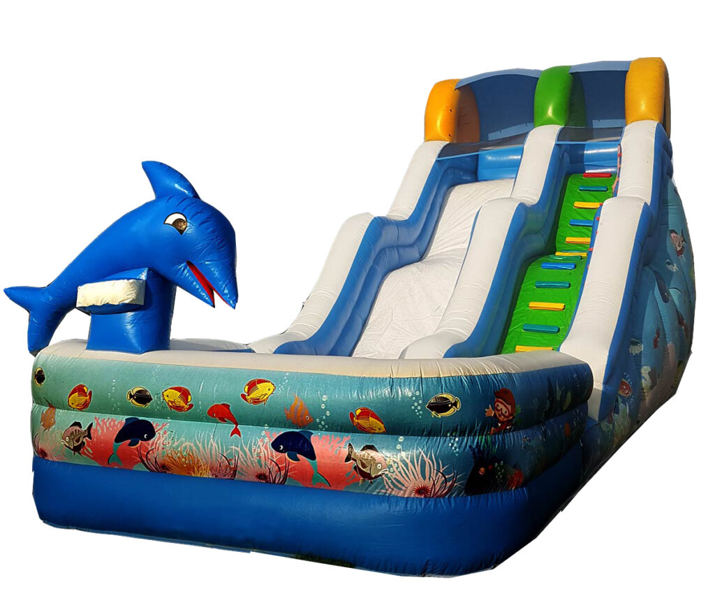 Dolphin Slide with Pool