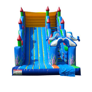 Experience the thrill of outdoor fun with our bouncy castle hire featuring a vibrant inflatable dolphin slide, perfect for children’s entertainment.
