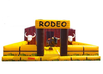 Rodeo-Bull