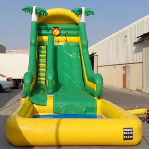 A large inflatable water slide with a colorful design and a splash pool at the bottom, providing hours of fun for children and adults alike.