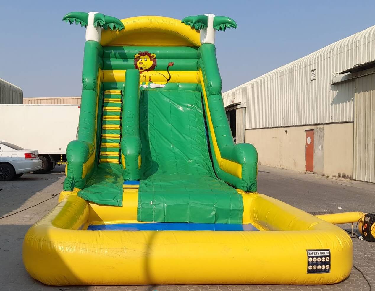 lion slide with pool
