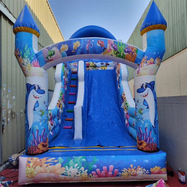 Inflatable Castle Hire - Whimsical Fun for Events of All Sizes