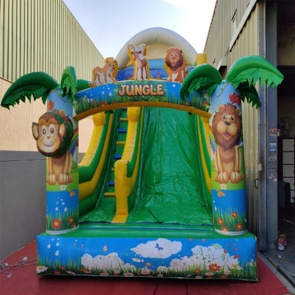 Colorful Bouncy Castle with Slide Rental - Ideal for birthdays and events. Safe and vibrant inflatable for kids to enjoy.