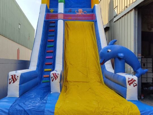Bouncing Castle Delight: A whimsical inflatable castle providing joy and laughter for events of all kinds.