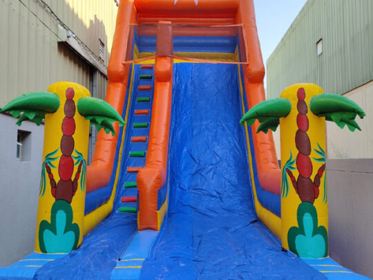 Dynamic image showcasing a bouncy castle and slide combo - the ultimate entertainment package for events.