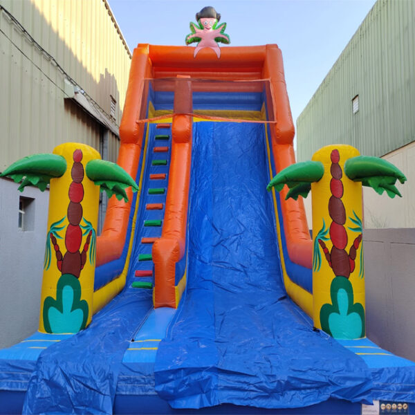 Dynamic image showcasing a bouncy castle and slide combo - the ultimate entertainment package for events.